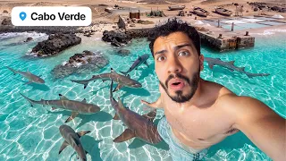 Fui a la isla de LOS TIBURONES en CABO VERDE 🦈🇨🇻