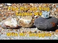 Flea Market Vlog Sophia WV With Mr Snuggles