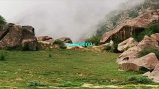 على الحبايب سرى الليل   أداء مبارك الدوسري وفهيد التنهات بدون إيقاع  دندنها