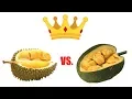 KING OF ALL FRUITS Durian vs Jackfruit