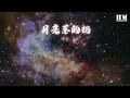張宇 - 月亮惹的禍『我承認都是誓言惹的禍』【動態歌詞Lyrics】