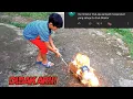 Download Lagu dimas bakar truknya sendiri, dan bakar truk abangnya juga!!
