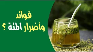 ما هي فوائد واضرار المتة   دندنها