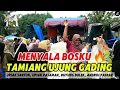 Download Lagu Tamiang ujung Gading bergoyang gurindam dua koto||Valencia music