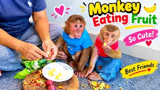 Baby Monkey Eating Fruit Yummy #livestream  #monkey  #bea3 #fyp