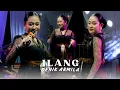 Download Lagu DENIK ARMILA - ILANG || NEW SRIKATON || LIVE MUSIC
