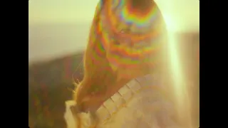 Tainy - Única with Karol G (Official Music Video)