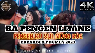 Download DJ RA PENGEN LIYANE PENGENKU SIJI MUNG KOWE II DJ REMIX VIRAL TERBARU BREAKBEAT FULLBASS 2023 MP3