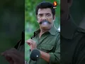 Download Lagu മാത്തച്ചൻ, മീശ മാത്തച്ചൻ... | Pappachan Olivilanu | #shorts #shortvideo #viral #trending #new