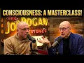 Joe Rogan Experience - Michael Pollan