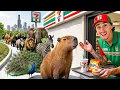 I Opened a 7-11 For Animals