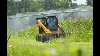 Cat Skid Steer Loader D3 Series Features and Benefits