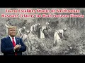 Download Lagu Trump Escalates Focus on Black Smithsonian | Claims Too Much Focus on Slavery