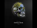 Fallen Vessel - Ordinary Hands (Official Visualizer Video)