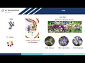 01 Understanding IRIS Dataset