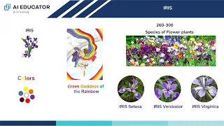 01 Understanding IRIS Dataset