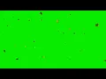 HD GREEN SCREEN EFFECTS: DAUN MUSIM GUGUR