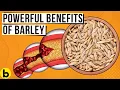 9 POWERFUL Benefits Of Eating Barley Every Day You Must Know