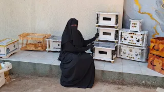 Erakabooti Aja Iba Isa Isinif Fideera Namoonni Barbaddan Qaqqabadha 