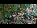 Download Lagu Het ontroerende verhaal van twee verlaten kinderen. Waar gaat hun leven heen?