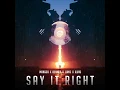 Say It Right (ILURO Remix) (feat. ILURO) - Mangoo & Lunis