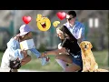 Download Lagu Love at First Sight in Real Life Prank  😊 - Best of Just For Laughs 😲🔥