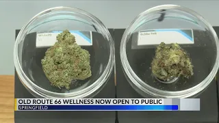 Springfield s medical marijuana dispensary opens to the public