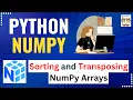 L9 NumPy Sort Transpose Functions Sorting Transposing 1D 2D NumPy Arrays Python NumPy Code