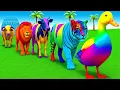 Lagu Long Slide Game With Elephant Gorilla Buffalo Hippopotamus Tiger - 3d Animal Game - Funny 3d Animals