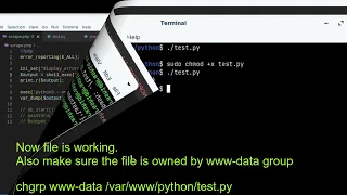 Execute Python file using PHP 2022