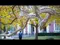 A Few Things to Know about the University of Illinois from a Student s Perspective