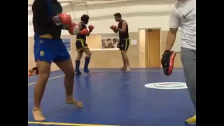 محسن محمد سیفی اسطوره ی ووشو جهان 