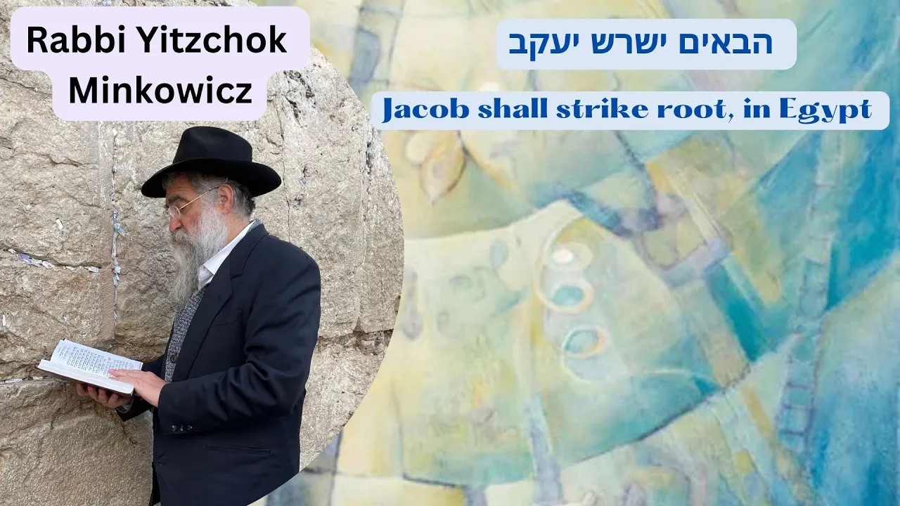 Artwork for podcast Chassidic Discourses - Mamarim by Rabbi Yitzchok Minkowicz