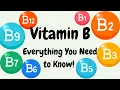 B Vitamins Everything You Need to Know