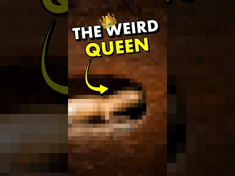 Is this mammal actually an insect?