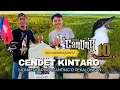 KINTARO Cendet milik Abah Wawan BODEM SF masih tanggung jawab di piala Canting 10 di juara 2\u00263