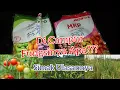 Lagu Apakah Boleh Pupuk MKP di Campur Pupuk Magnesium Sulfat Untuk Tanaman? Simak Ulasannya