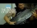 Sound of Borneo  l  Sape The Dayak Tribe Traditional Music Instrument