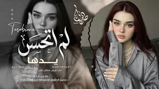 لم اتحسس يدها   لم اتحاشي مكرها رميت قلبي في شباك خدعتها   اغاني طرب تيك توك        مطلوبه اكثر شيء  دندنها