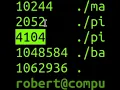 The du Command In Linux