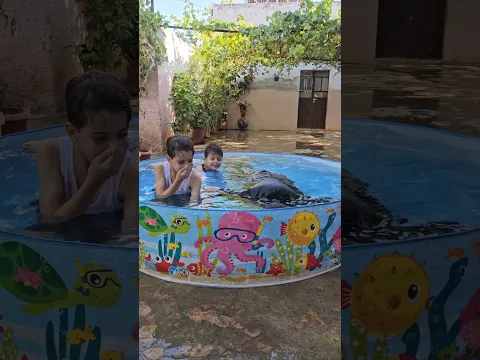 كيف فاز على بابا