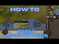 OSRS How to fish anchovies