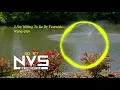 Download Lagu I Am Willing To Be By Yourside Remix - Wang QiQi ♪ [NCS Video Style]