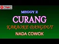 Download Lagu KARAOKE DANGDUT CURANG - MEGGY Z (COVER) NADA COWOK Bminor