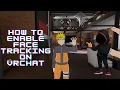 How to Face Tracking on PC in VRChat