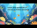Diving Into Adventure at the Dallas World Aquarium