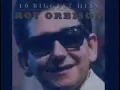 Download Lagu Roy Orbison: There Won't Be Many Coming Home (Lyrics)