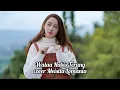 Lagu Walau Habis Terang - Peterpan cover Meisita Lomania ( Lirik )