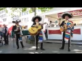 Download Lagu Guantanamera - Mariachi Acapulco