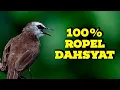Download Lagu 1 JAM TANPA IKLAN !!! MASTERAN TRUCUKAN ROPEL PANJANG SUPER MEWAH GACOR DOR DI PAGI HARI